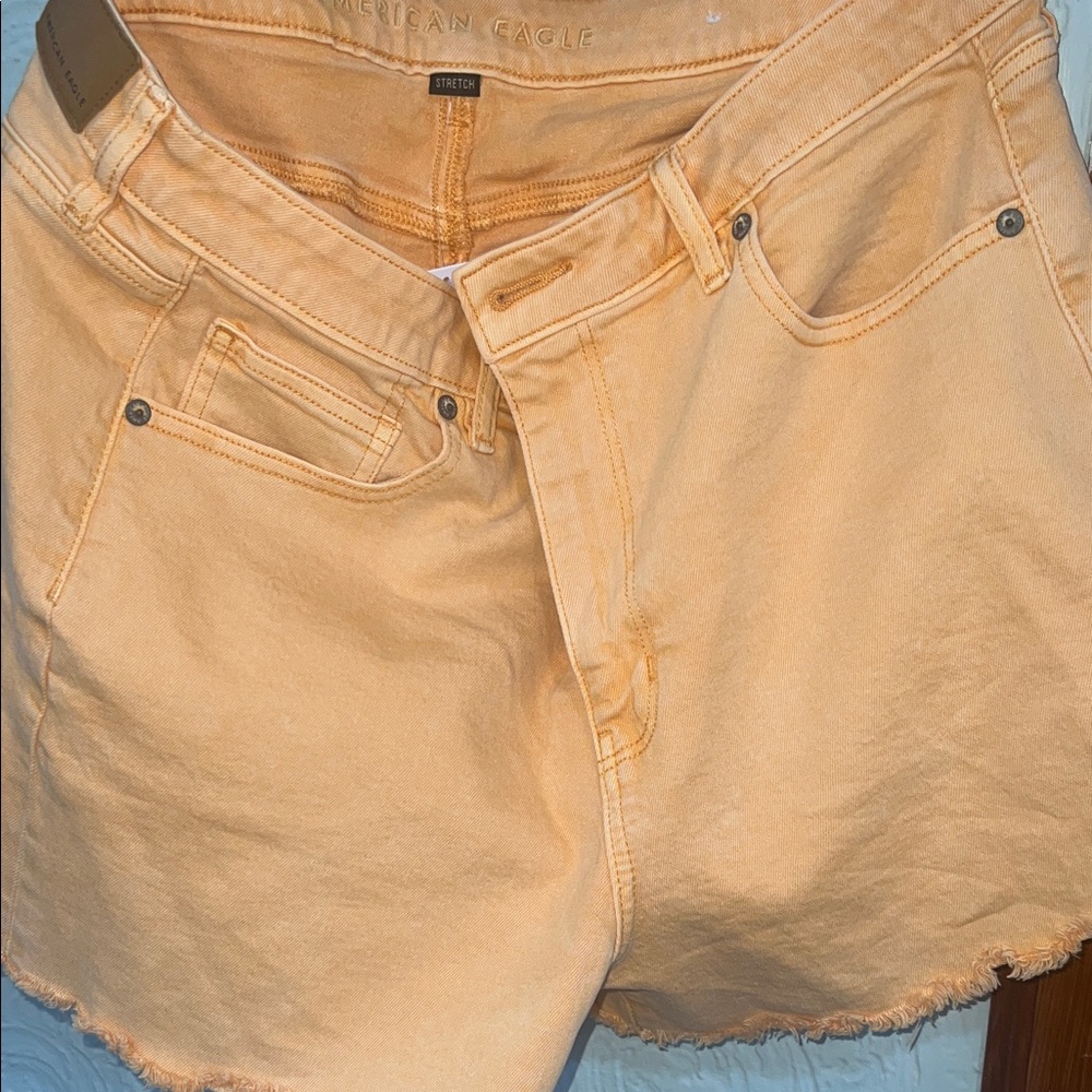 American Eagle Outfitters Light Brown Pants